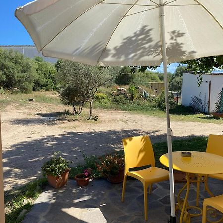 La Maison Di Zia Annina In Olbia Porta Della Costa Smeralda Dış mekan fotoğraf