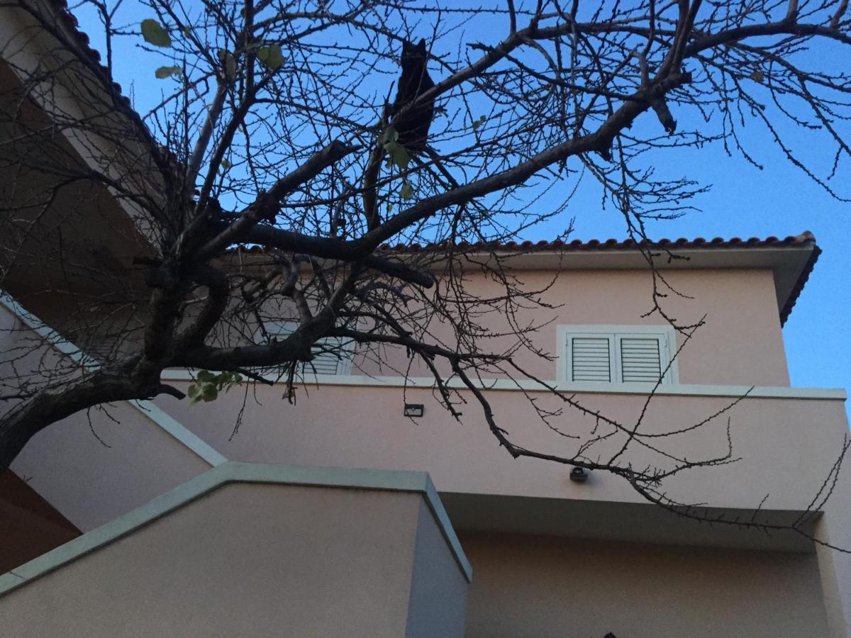 La Maison Di Zia Annina In Olbia Porta Della Costa Smeralda Dış mekan fotoğraf