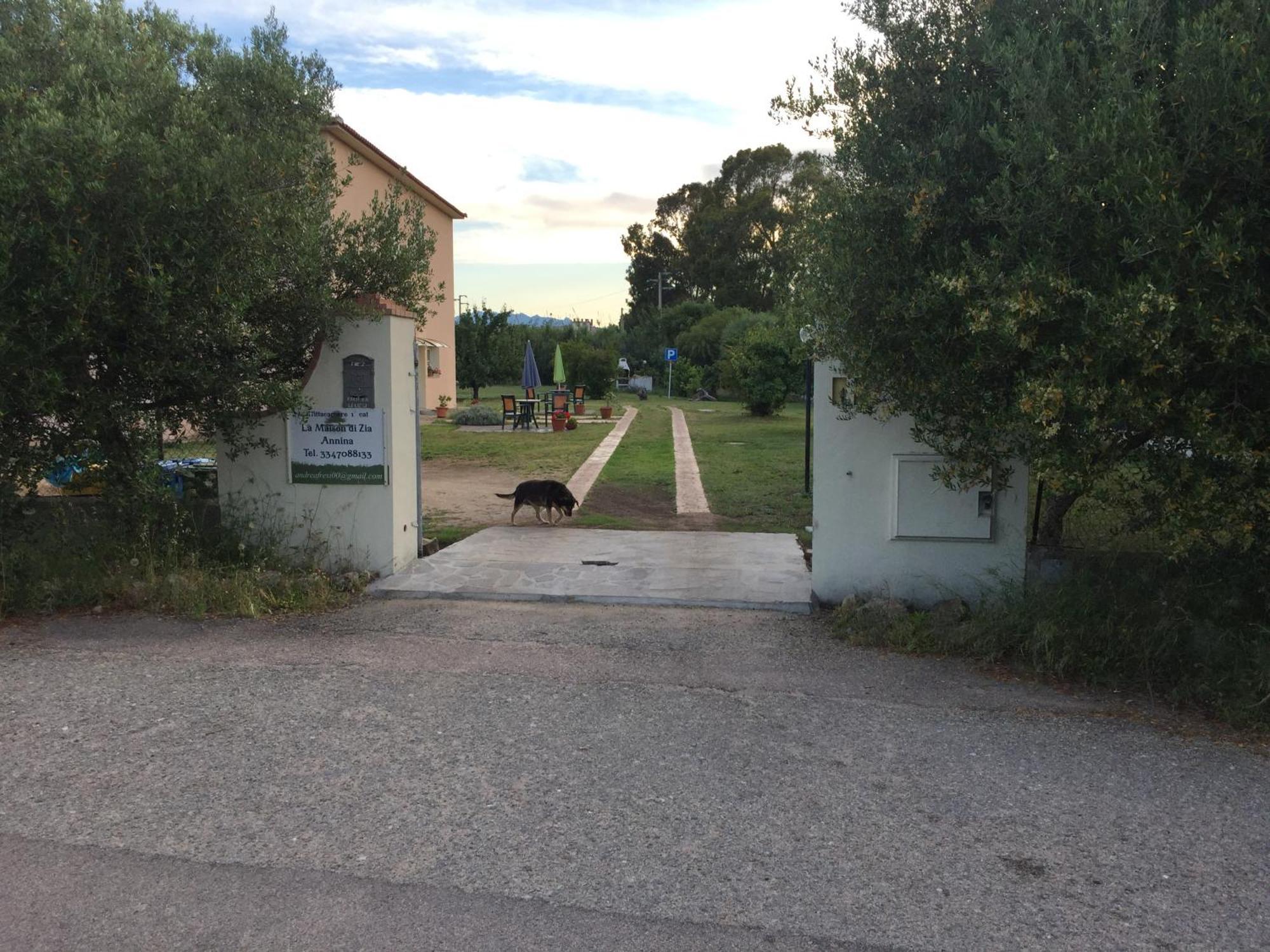La Maison Di Zia Annina In Olbia Porta Della Costa Smeralda Dış mekan fotoğraf