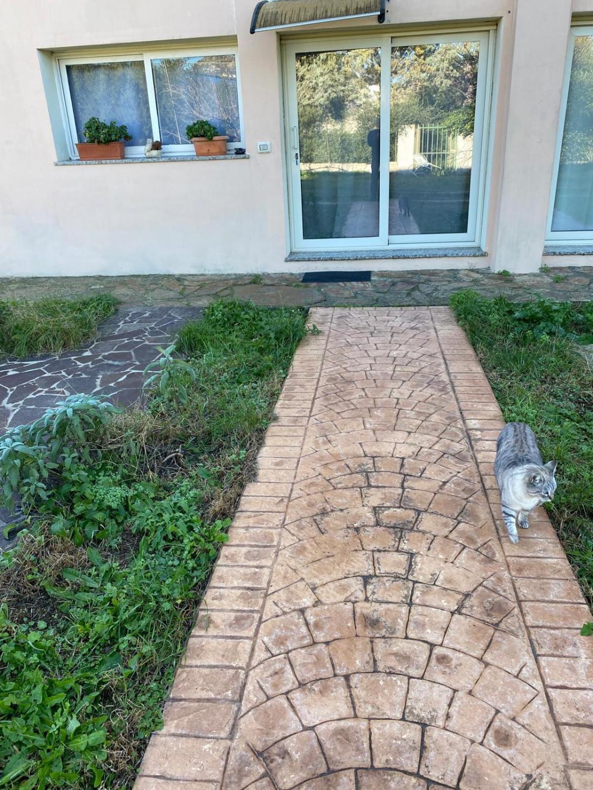 La Maison Di Zia Annina In Olbia Porta Della Costa Smeralda Dış mekan fotoğraf