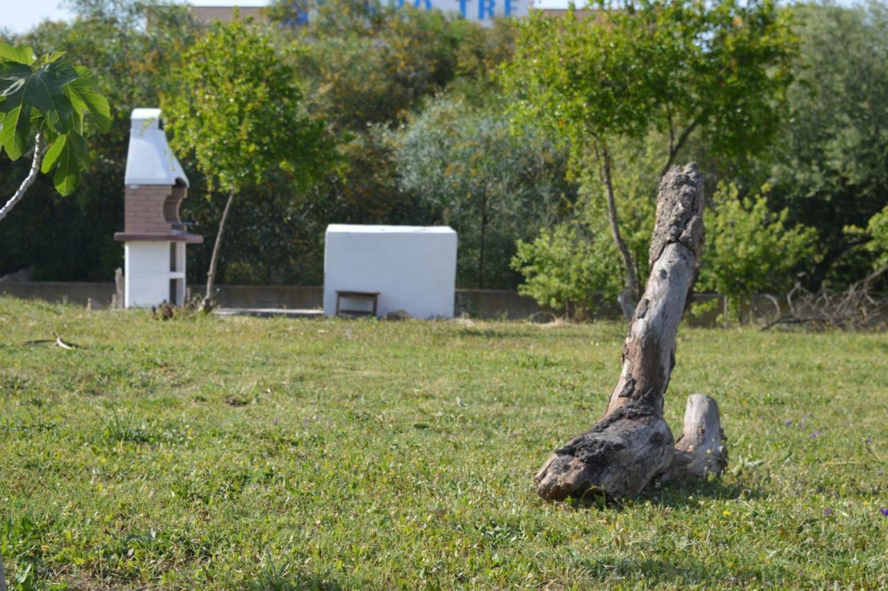 La Maison Di Zia Annina In Olbia Porta Della Costa Smeralda Dış mekan fotoğraf