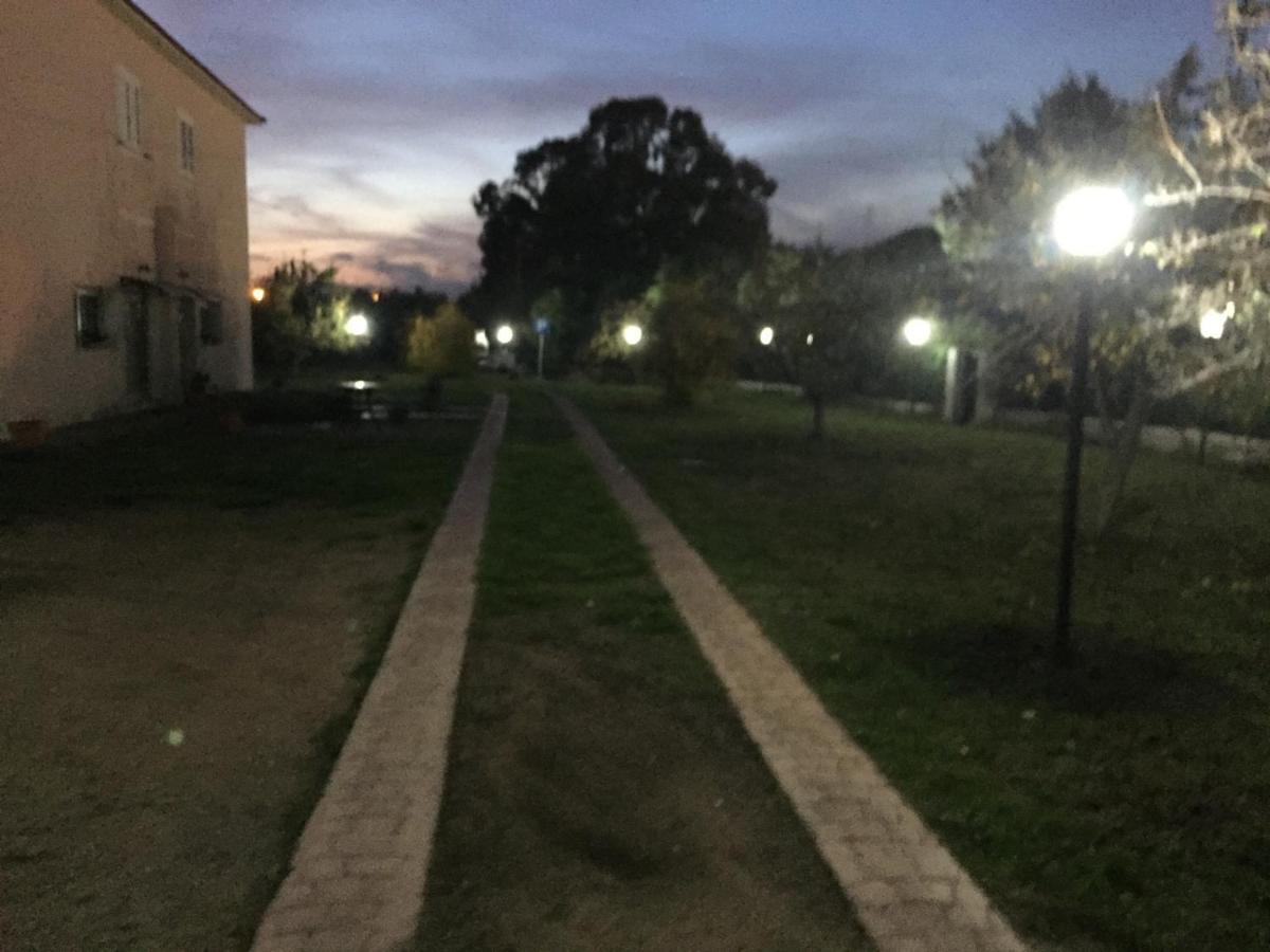 La Maison Di Zia Annina In Olbia Porta Della Costa Smeralda Dış mekan fotoğraf